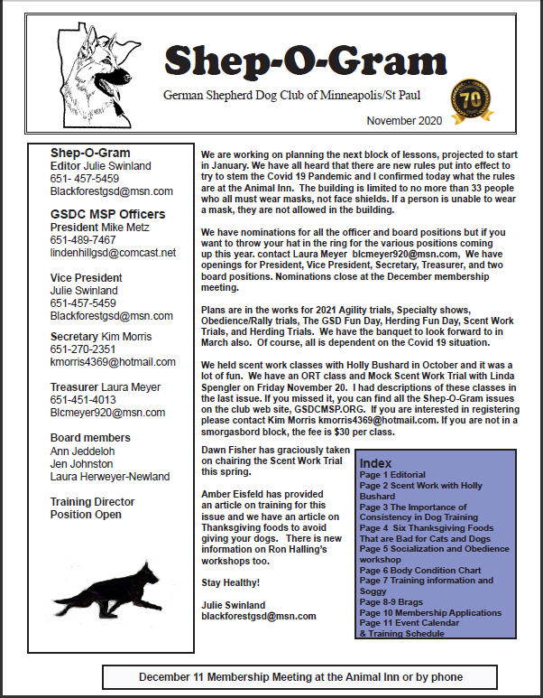 GSDCMSP Shep-O-Gram November, 2020